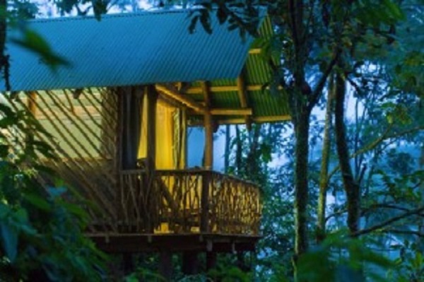Circuit adrenaline au Costa Rica, la Tigra rain forest lodge