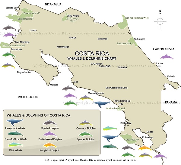 Les lieux de migration animale au Costa Rica