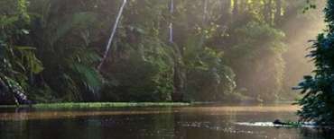 Voyage sur Mesure Costa Rica - Agence locale Française Voyage sur Mesure Costa Rica - Agence locale Française, Les canaux de Tortuguero avec Trio de Turismo au Costa Rica