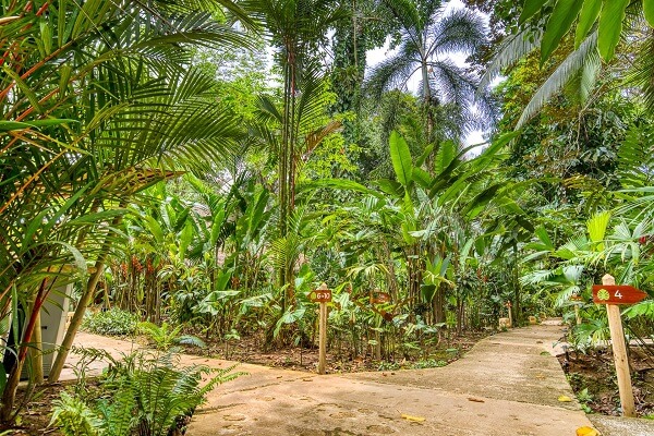 Shawandha lodge, les jardins. A Puerto Viejo de Limon, cote Caraibe. Agence de voyage locale francophone au Costa Rica