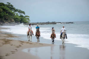 Randonnee a cheval sur la cote pacifique du Costa Rica