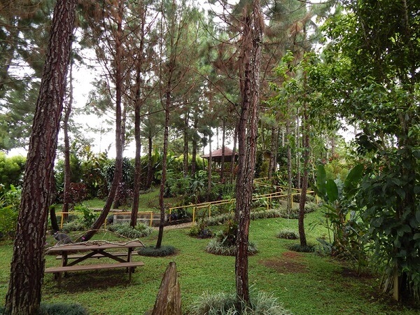 Vista Turrialba lodge jardin