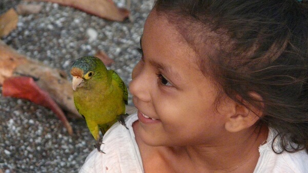 Jeune costaricienne et son perroquet
