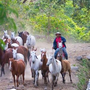 Cavaliers a l’Hacienda Guachipelin, séjour sur mesure au Costa Rica
