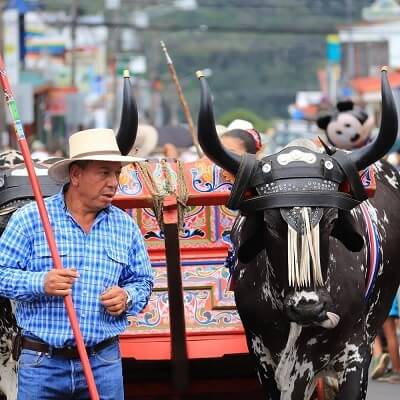 Le monde rural du Costa Rica, les charrettes et les « boyeros ». Voyage sur mesure au Costa Rica