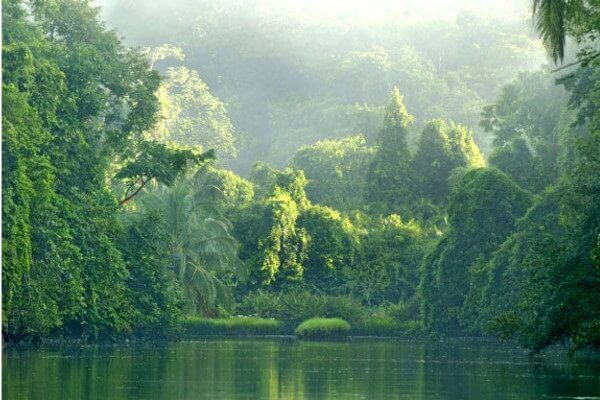 Le parc national de Corcovado dans la péninsule de Osa, sejour sur mesure au Costa Rica