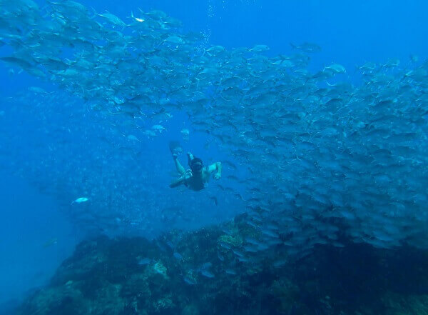 Snorkeling au large de Drake Bay dans la péninsule de Osa au Costa Rica