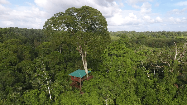 Les chambres dans les arbres au Costa Rica