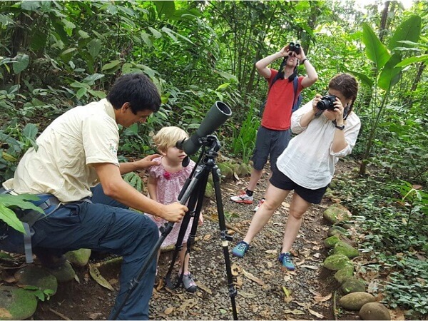 Observation des animaux avec des enfants. Sejour en famille au Costa Rica
