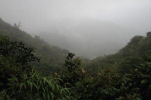 la forêt nuageuse de Monteverde, Costa Rica. Voyage sur mesure au Costa Rica