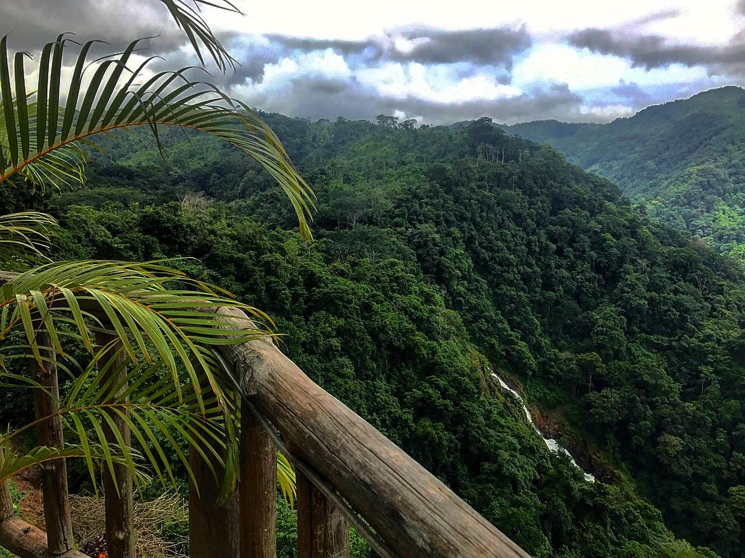le parc national de Carara, les aras, le rio Tarcoles. Sejour au Costa Rica