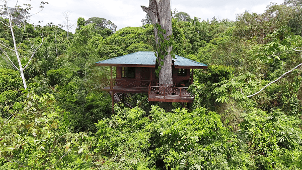 Maquenque Eco lodge à Boca Tapada, les chambres dans les arbres. Circuit aventures au Costa Rica