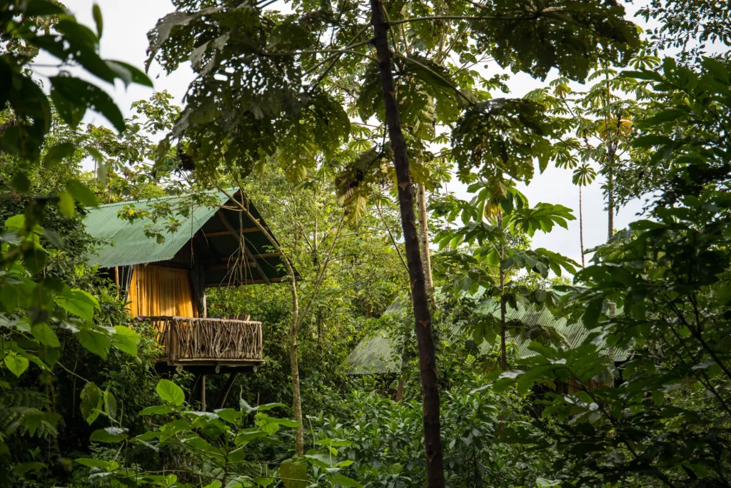 la tigra rainforest lodge, la fortuna, volcan Arenal. Sejour sur mesure au costa rica