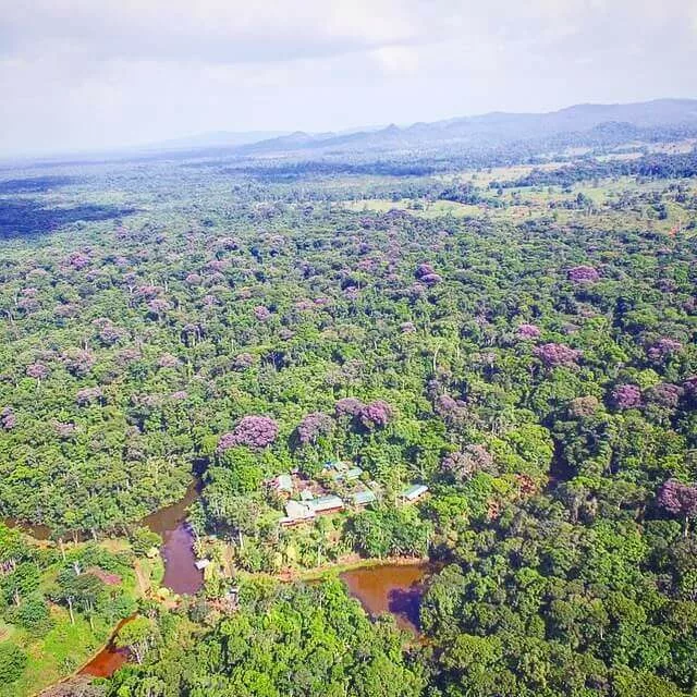 laguna del Lagarto, Boca Tapada, Costa Rica. Sejour sur mesure pour observer la ville animale