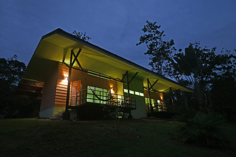 laguna lagarto