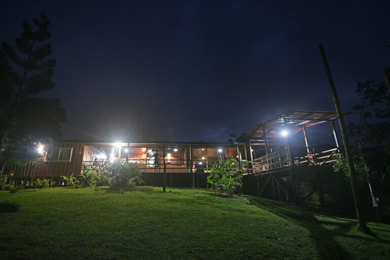 laguna lagarto1