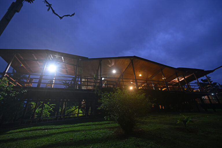 laguna lagarto2