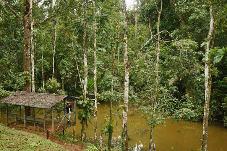 laguna lagarto8