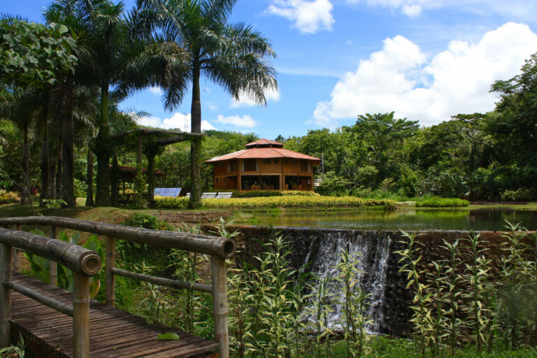 macaw lodge