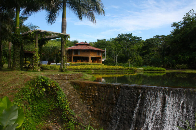 macaw lodge3