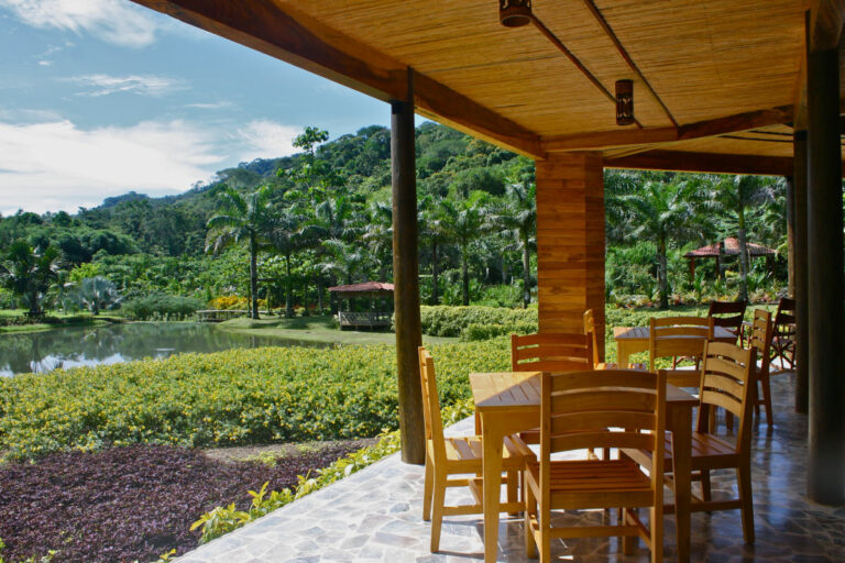 macaw lodge5