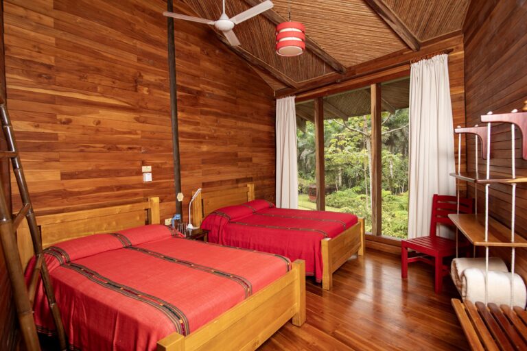 macaw lodge6