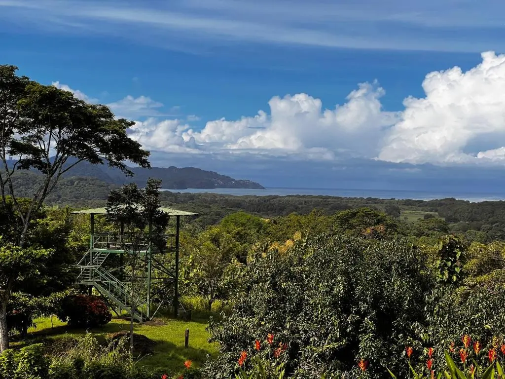L'hotel Tarcoles Birding ,vue sur le golf de Nicoya. Séjour sur mesure au Costa Rica