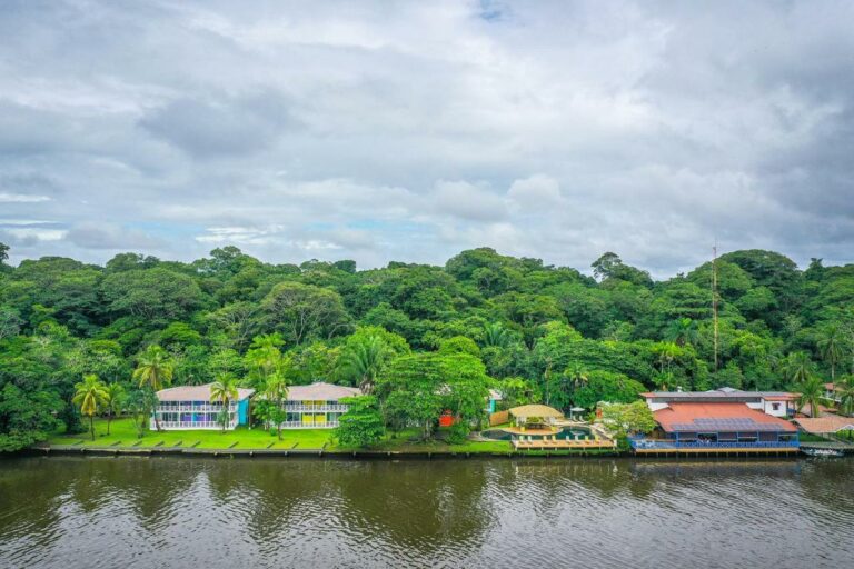 tortuga lodge 7