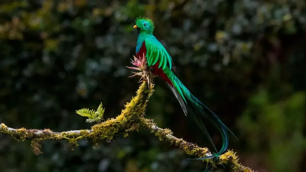 Voyage au Costa Rica avec une agence francophone locale