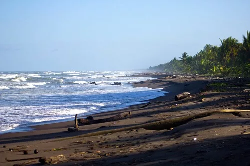 Turtle Beach lodge a Tortuguero, Costa Rica. Parc national de Tortuguero. Sejour sur mesure avec une agence locale francophone au Costa Rica