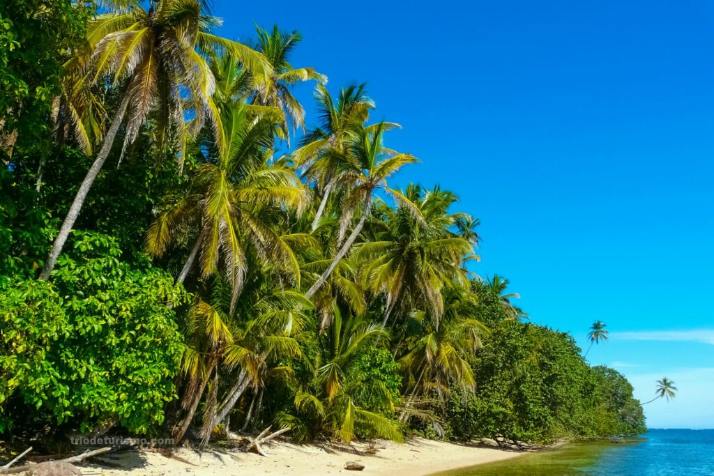 Le parc national de Cahuita, sur la côte caraïbe sud
