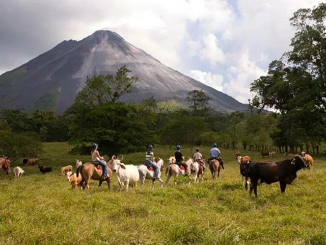L'hotel Amor Arenal, etablissement de luxe fac e au volcan Arenal au Costa Rica. Sejour haut de gamme avec une agence locale francophone