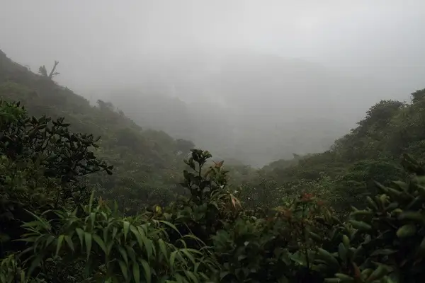 Hotel Belmar a Monteverde et la foret nuageuse. Sejour sur mesure avec une agence de voyage locale francophone