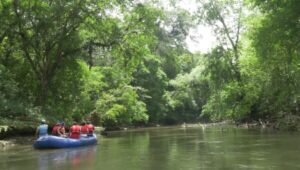 Boca Tapada, rivière tres Amigos. Voyage en famille au Costa Rica. Séjour sur mesure avec une agence francophone locale