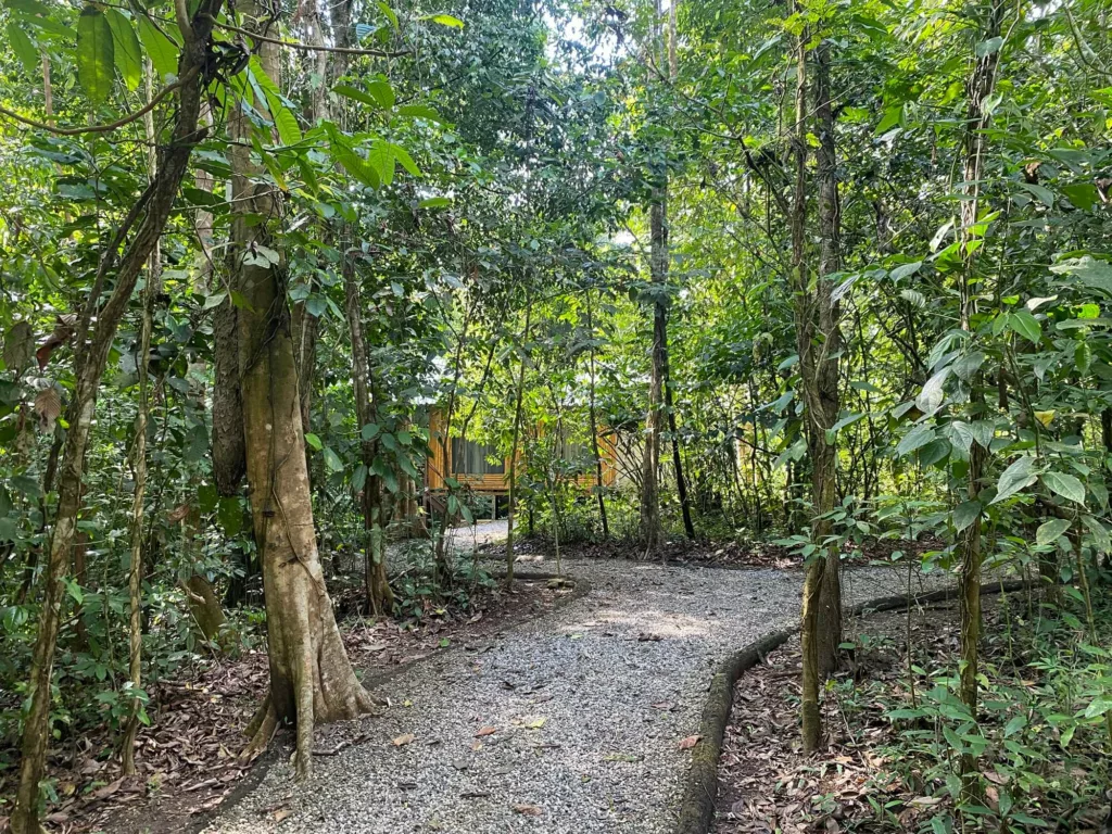 Danta Corcovado Lodge, peninsule de Osa. Sejour sur mesure avec une agence de voyage francophoje locale