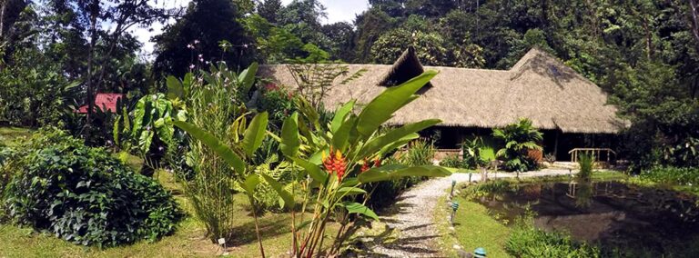 esquinas rainforest 2