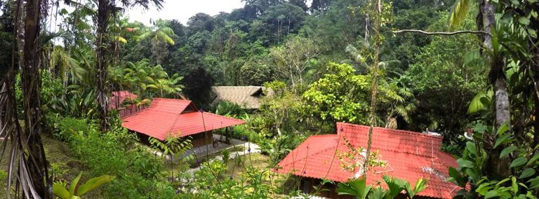 esquinas rainforest 4