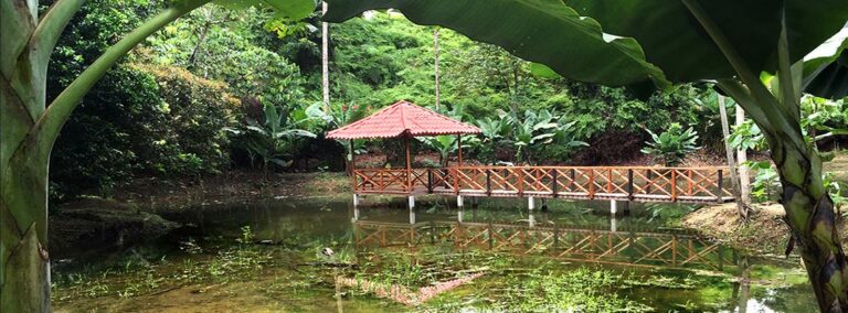 esquinas rainforest 7