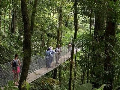 Les ponts suspendus du volcan Arenal