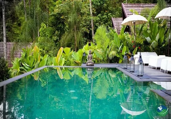 Oxygen Jungle Villas a uvita, Costa Rica. La piscine de l'hotel Sejour decouverte au Costa Rica avec une agence receptive