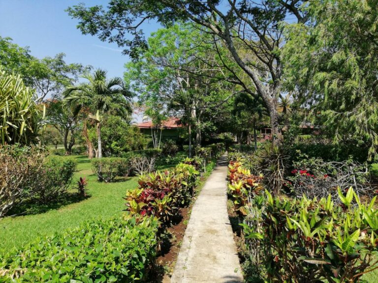 rincon de la vieja5