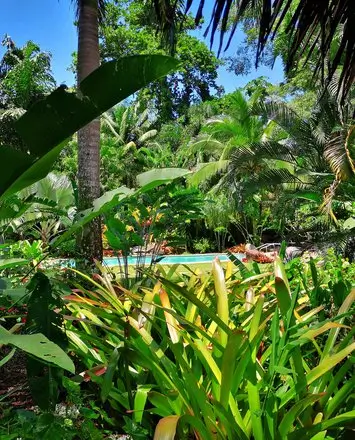 Shawandha lodge, Puerto Viejo de limon, costa Rica. Voyage au costa rica