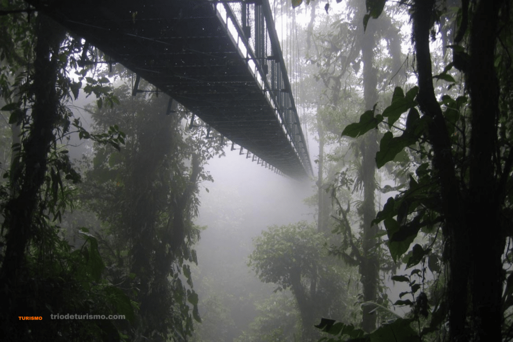 Ponts suspendus au Costa Rica, planifier ses vacances au Costa Rica