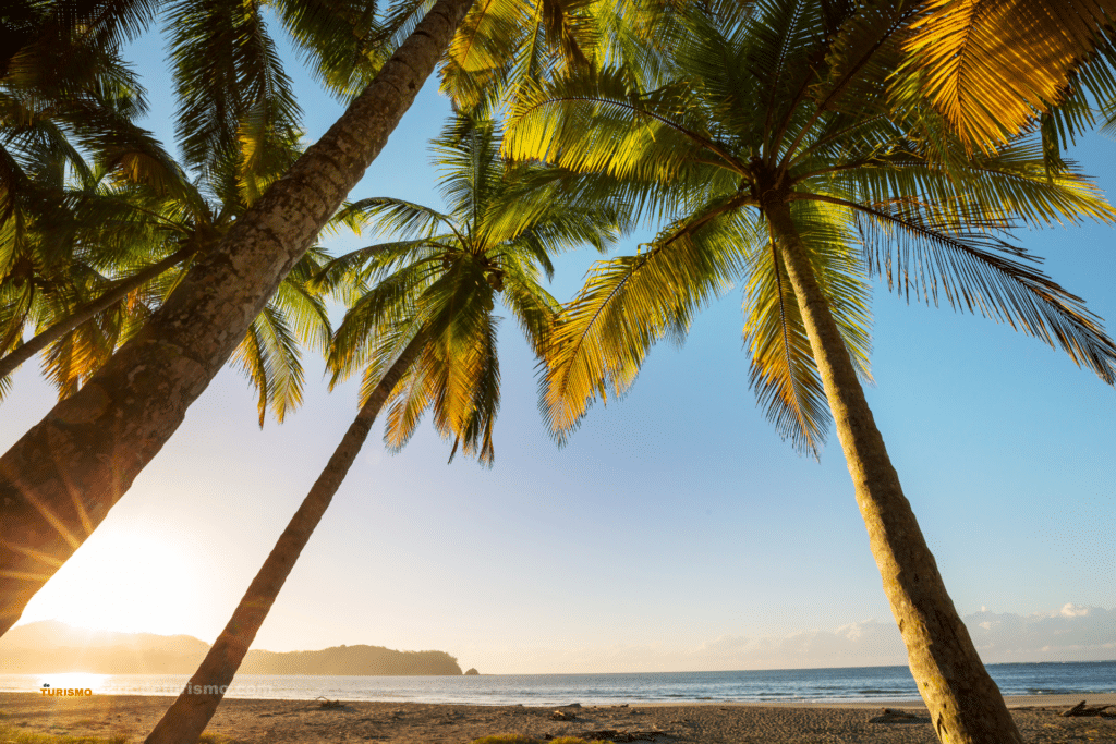 Côte Pacifique du Costa Rica