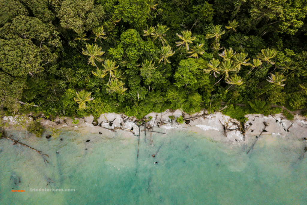 Le parc national de Corcovado, peninsule de Osa