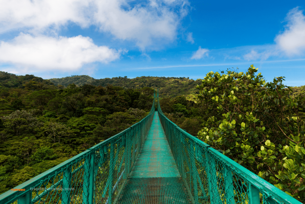 Les ponts suspendus de Monteverde