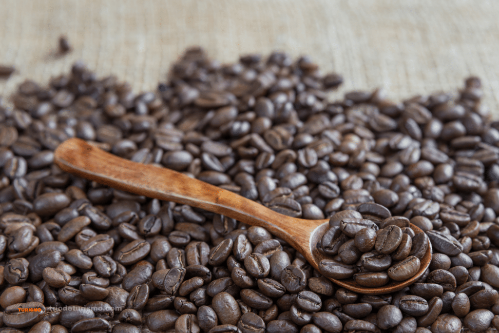Les grains de cafe du Costa Rica