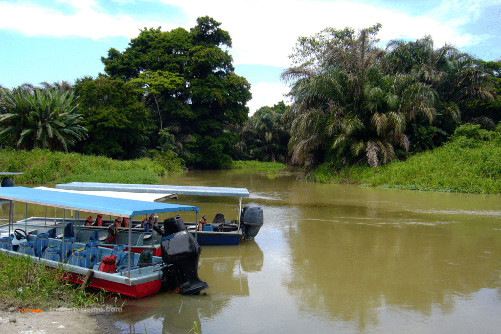 Découvrir le Costa Rica et ses régions, les canaux et le parc national de Tortuguero