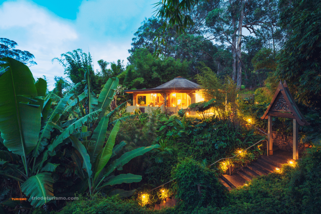 lodge dans la jungle du Costa Rica
