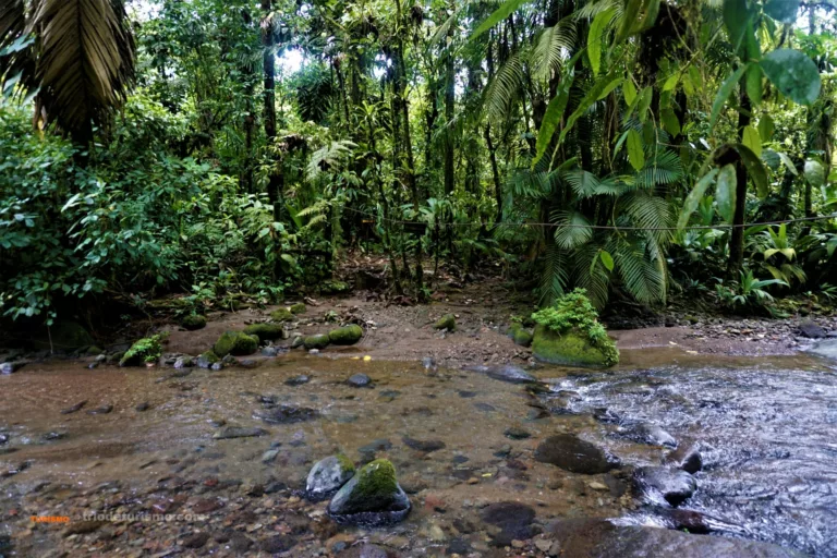 Le parc national Braulio Carrillo